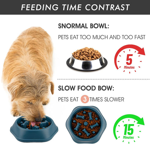 2 Packs Slow Feeder Dog Bowl, Puzzle Dog Food Bowl Anti-Gulping Interactive Dog Bowl for Small/Medium Sized Dogs (Blue&Green)...