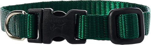 LupinePet Basics 1/2" Green 6-9" Adjustable Collar for Extra Small Dogs...