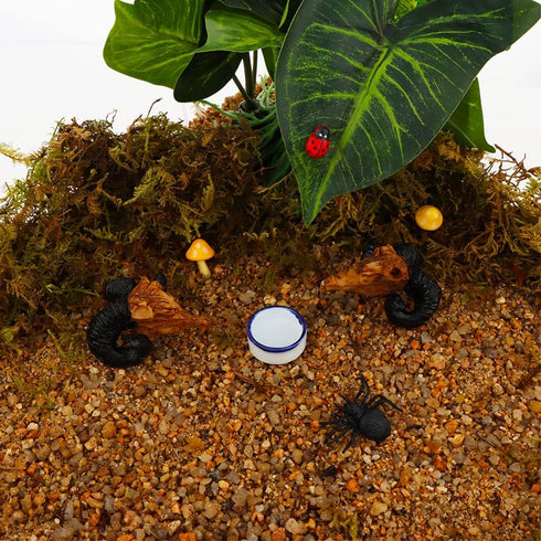 6 Pcs Spider Micro Water Bowl Mini Ceramic Dish for Spider Tarantula Millipede Tiny Reptile (Small: 0.86" D, 0.43" H)...