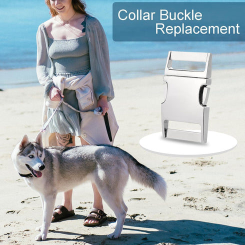CooBigo 10 Pack Bulk Dog Collar Hardware Metal Buckle 1 inch Webbing Backpack Buckle Replacement Backpack Strap Kit Prong Collar Clip Buckles(Silv...