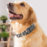 2 PCS Cotton Dog Collar Soft Cute Flower -3 Sizes Soft Nylon Puppy Collar Adjustable for Girl Female Small Medium Large Dogs… (Flower-4, M(13-18in...