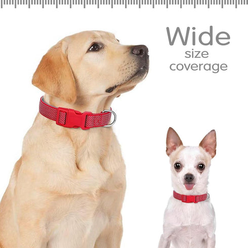 Didog Reflective Dog Collar with Buckle, Adjustable Soft Neoprene Padded Nylon Pet Collars for Small Medium Large Dogs, Red, S...