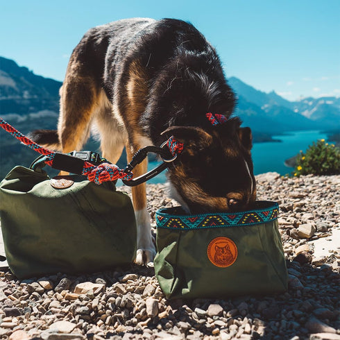 Wilderdog Backpacking Bowl - Holds Food & Water Up to 64oz - Olive...