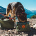 Wilderdog Backpacking Bowl - Holds Food & Water Up to 64oz - Olive...
