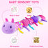 Baby Toy 0-12 Months,Baby Infant Musical Stuffed Animal Soft Toy with Multi-Sensory Crinkle, Rattle & Textures,Baby Girl Toy Birthday Gift,Caterpi...