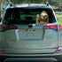 Sloth Automotive Decals Car Window Cling Funny Car Sticker Animal Window Decal for Vehicles...