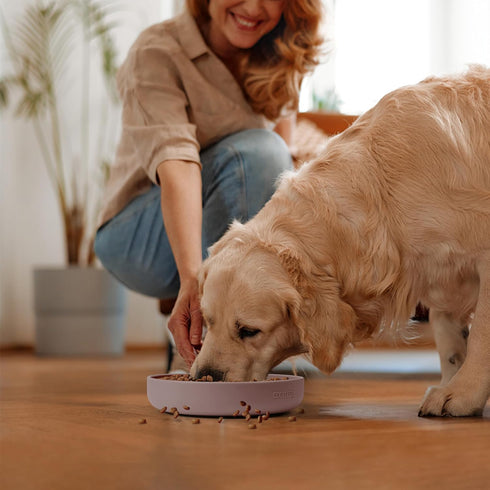 Coomazy Silicone Slow Feeder Dog Cat Bowls, Interactive Puzzle Toy for Pets Food Training, Keeps Dogs Cats Busy, Prevents Puppy Kitty Overeating (...