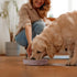 Coomazy Silicone Slow Feeder Dog Cat Bowls, Interactive Puzzle Toy for Pets Food Training, Keeps Dogs Cats Busy, Prevents Puppy Kitty Overeating (...