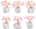 mookaitedecor Rose Quartz Crystal Tree Tumbled Stones, Cluster Rock Crystals Base Money Tree for Wealth and Luck 4"-5"...