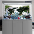 AWERT 48x20 inches Viewing Stone Fish Tank Background River Bed & Lake Aquarium Background Seaweed Aquarium Vinyl Background...