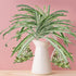 GWOKWAI 2Pcs Artificial Chlorophytum, 25.5in Faux Plant Hanging Basket Simulation Ivy Green Leaves Fake Wall Hanging Plants for Home Garden Office...