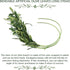 WILLBOND 8 Bundles Artificial Greenery Stems, Faux Olive Branches for Vases 43 Inch Tall Long Stem Olive Leaves Fake Plant for Floral Arrangement ...