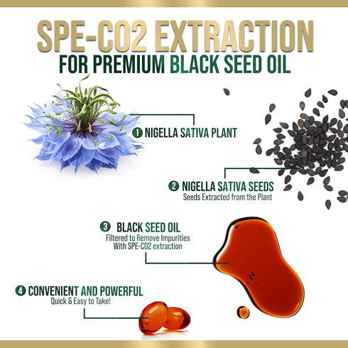 Black Seed Oil Softgels 1000mg - Premium Nigella Sativa Blackseed, Pure Natural Black Cumin Seed Oil & Antioxidant for Skin & Immune Support - Non...