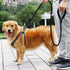 3FT/6FT/10FT Heavy Duty Rope Leash for Dogs with Comfortable Padded Handle Classic Dog Leash for Medium Large Dogs(Black, 6ft)...