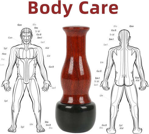 Hot Stones for Massage, Facial Electric Massager with Adjustable Temperature, Natural Bian Stone Gua Sha Scraping Massager Warmer Kit for Massage ...