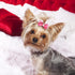 40 Pieces Dog Bows Cute Puppy Dog Bowknot Hair Bows Handmade Hair Accessories Bow with Rubber Bands Lace Organza Puppy Bows Rhinestone Pearls Dog ...