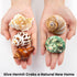 5PCS Hermit Crab Shells | Natural Sea Conch Size 2.1" - 2.8", Opening Size 0.9" - 1.5" | Medium Large Turbo Seashells for Hermit Crab Supplies and...