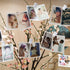 Self-Adhesive Clips 30 Pcs Tapestry Hangers Sticky Photo Clips Wall Clips Double-Sided Adhesive Spring Clips for Notes, Poster, Paper, Flag Hanger...