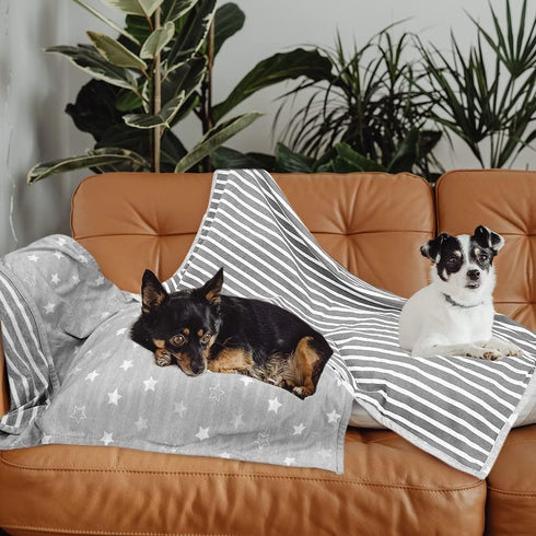 Dog Cooling Blanket 28 * 21inch Lightweight Self Cooling Blanket Bed Cover for Dog Cat Summer Blanket &Ice Silk Cooling Pet Blanket Throw Blanket ...
