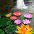 ifundom 5Pcs Lily Pads for Ponds, Artificial Lotus- Water Lily Pads Leaves & Floating Foam Lotuses for Garden Fish Pond Aquarium Pool Wedding Deco...