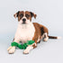 Fringe Studio Plush Dog Toy, Hisses & Kisses, Pet Shop Collection (314206)...