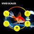 Purify Series for Goldfish Food, Sinking Gold Fish Pellets, All Natural Ingredients, Balanced Composition of fish food, Good for Fins Grow and Col...