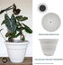 The HC Companies 10 Inch Caribbean Planter - Lightweight Indoor Outdoor Plastic Plant Pot for Herbs and Flowers, White...