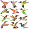 Anti-Collision Window Clings Bird Alert Collision Decals to Prevent Bird Strikes on Window Glass - Set of 12 Hummingbirds...