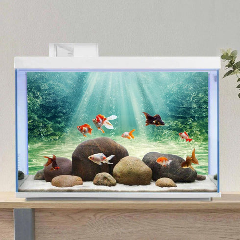 AWERT 30x18 inches Aquarium Background Aquatic Plant Bubble Underwater Ocean Floor Fish Tank Background Polyester Background...