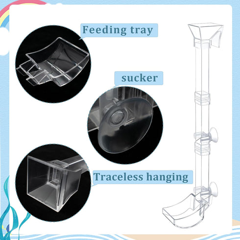 Aquarium Fish Shrimp Feeding Dish Set Clear Fish Feeder Tube and Dish with Cleaning Brush and Measuring Spoon for Feeding Shrimp and Preventing Fo...