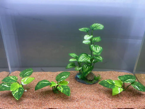 Aquarium Silk Plants for Betta Fish Tank, Aquarium Plant Aquatic Water Grass Foreground Decor?Fish Tank Decorations(4PCS Green Grasses)...