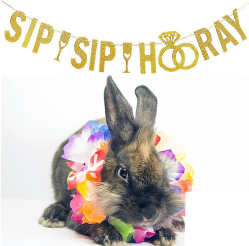 Gold Glitter Sip Sip Hooray Banner Engagement Party Banner Bachelorette Party Banner for Sip Sip Hooray Party Decorations Stock The Bar Party Deco...