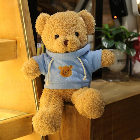 11.8 inches Teddy Bear Stuffed Animals Soft Plush Cute Teddy Bear with Hoodie Doll for Boys Girls (Blue)...