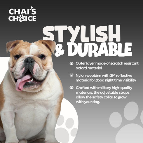 Chai's Choice Dog Collar Small (Black) | Comfortable & Stylish Pet Collar with Adjustable Strap Soft Padded | No-Choke & Quick Release | 3M Reflec...