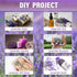 MAQ's Dried Lavender Bundles - 100% Natural Dried Lavender Flowers with 300 Stems (16-17 Inches) for Home Fragrance, Weddings & Party Decoration |...