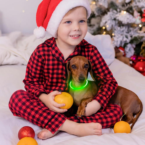 Led Dog Collars for Small Dog,Vizpet XS Light up Adjustable Collar USB Rechargeable Bright Safety Pet Collar for Cats Dogs(Green)...