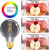 LEOOLS Dimmable LED Decorative G25 Globe Bulbs 6W,2700K Warm White,40 watt Equivalent Edison Bulb E26 Medium Base,Smoky Grey Glass,Flick-Free,CRI9...