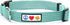 Pawtitas Reflective Dog Collar Adjustable Dog Collars for Small Dogs Puppy Collar Extra Small Dog Collar Teal Dog Collar...