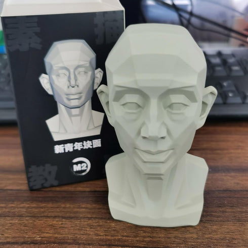 Generic Planar Head Model for Artists Learn Planes of Face, Human Manikin Head for Medical and Artistic Drawing Skecthing Painting, Color White (L...