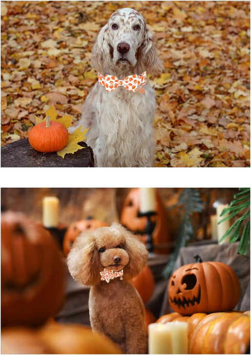 Halloween Dog Collar with Bow Tie, Pumpkin Cotton Bowtie Collar for Puppy Girl Boy Dog or Cat, Fall Dog Collar Bowtie with Metal Buckle, Adorable ...