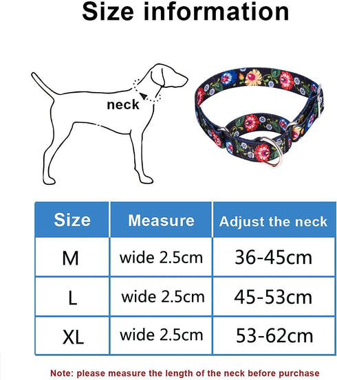 Heavy Duty Nylon Dog Collar, Adjustable Martingale Dog Collar for Walking Training Boy and Girl Dogs Medium Large Dogs (L:45-53CM, Gold)...