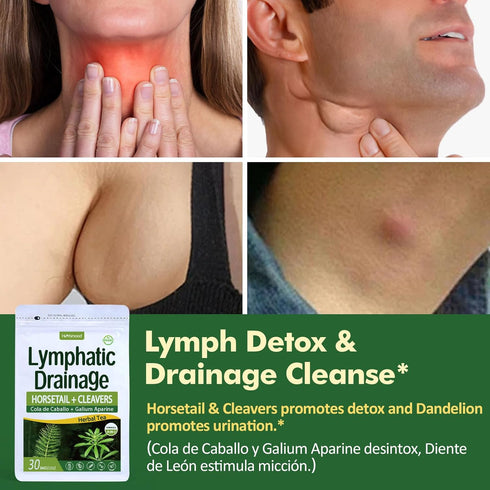Herbmood Cleavers Lymphatic Drainage Tea Bags for Lymph System Support, Horsetail and Dandelion Organic Herbal Formula, Lymphatic Cleanse & Detox,...