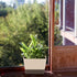 Planter Pot with Drainage, 1 Pack 6x3.8 Inch Herb Indoor Window Box with Tray, Modern Plastic Plant Flower Succulent Cactus Container for Windowsi...
