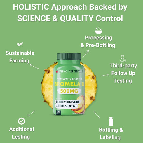 Yuve Bromelain 500mg - High Potency 2400GDU Supplement - Bromelain 500mg, Bromelain Powder - Gut & Joint Health - Fresh Pineapple - 120 Vegan Caps...