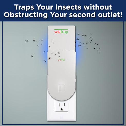 MiniMax Plug in Fruit Fly Traps for Indoors! A Flying Insect Trap with UV LED Bulbs & 5 Glue Board Refills! Gnat Trap used as a Fruit Fly Killer, ...