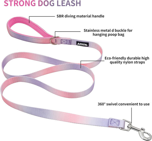 AIITLE No Pull Small Dog Harness and Leash Set - Escape Proof/Quick Fit Dog Halter Harness,Easy for Training Walking - Sturdy Transparent Buckle -...