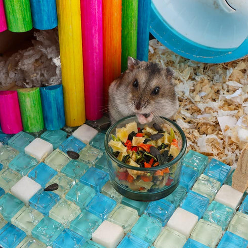 2 Pcs Hamster Food and Water Bowl Glass Anti-Turning Transparent Dish for Hamster and Other Small Pet...