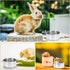 MotBach 2 Pack Stainless Steel Bird Feeding Dish Cups, Bird Feeder Parrot Food Water Bowls with Clamp, Pet Cage Cups Holder for Bird Parrot Cockat...