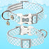 ARING PET Valentine's Day Dog Collar-Cute Blue Plaid Dog Collar, Adjustable Pet Collars Puppy Collar with Quick Release Buckle for Small Medium La...
