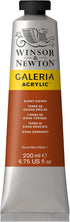 Winsor & Newton Galeria Acrylic Color, 200ml (6.75-oz) Tube, Burnt Sienna...
